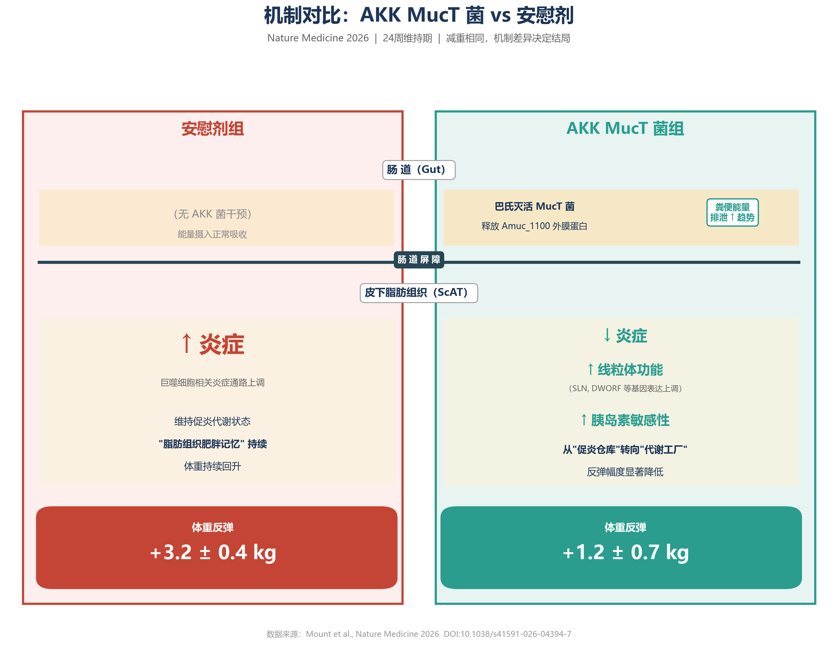 机制对比A